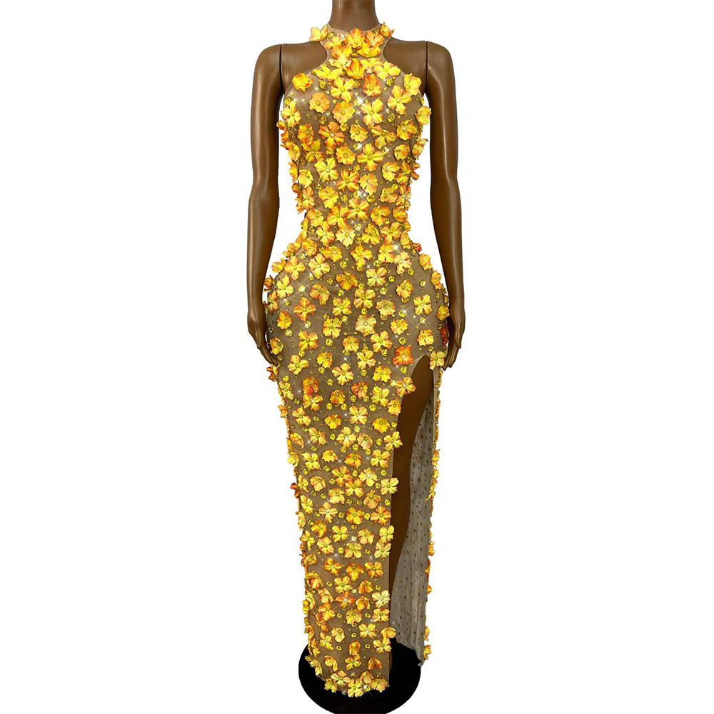 Women Fashion Photoshoot - Sexy Modisches Handgefertigtes Perlen-Blütenblatt-Strass-Kleid mit Hohem