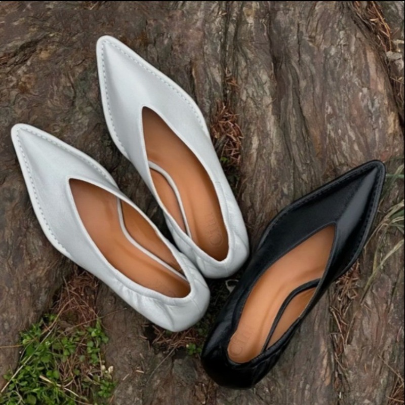 Women'S Fashion Shoes - 2025 Neue spitze Zehen-Einzelschuhe für Damen,