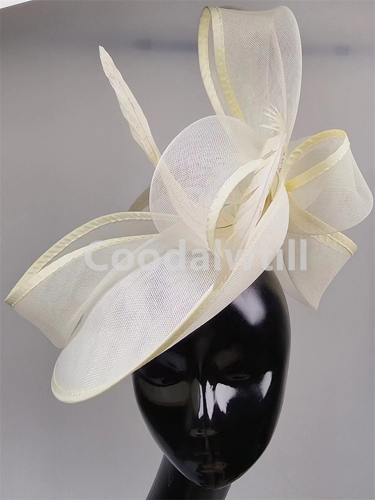 Neue Pillbox Fascinator Hut Fr – Women'S Fashion Kentucky Derby Bewertung und Preis